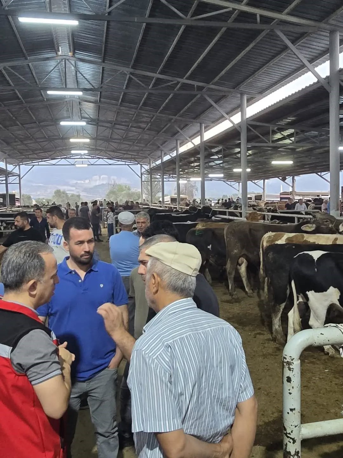 Aydın'da Hayvan Pazarlarında Denetim