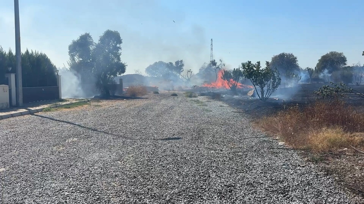 Aydın'da Yangın Villalara Yaklaştı