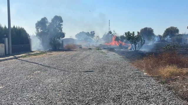 Aydın'da Yangın Villalara Yaklaştı