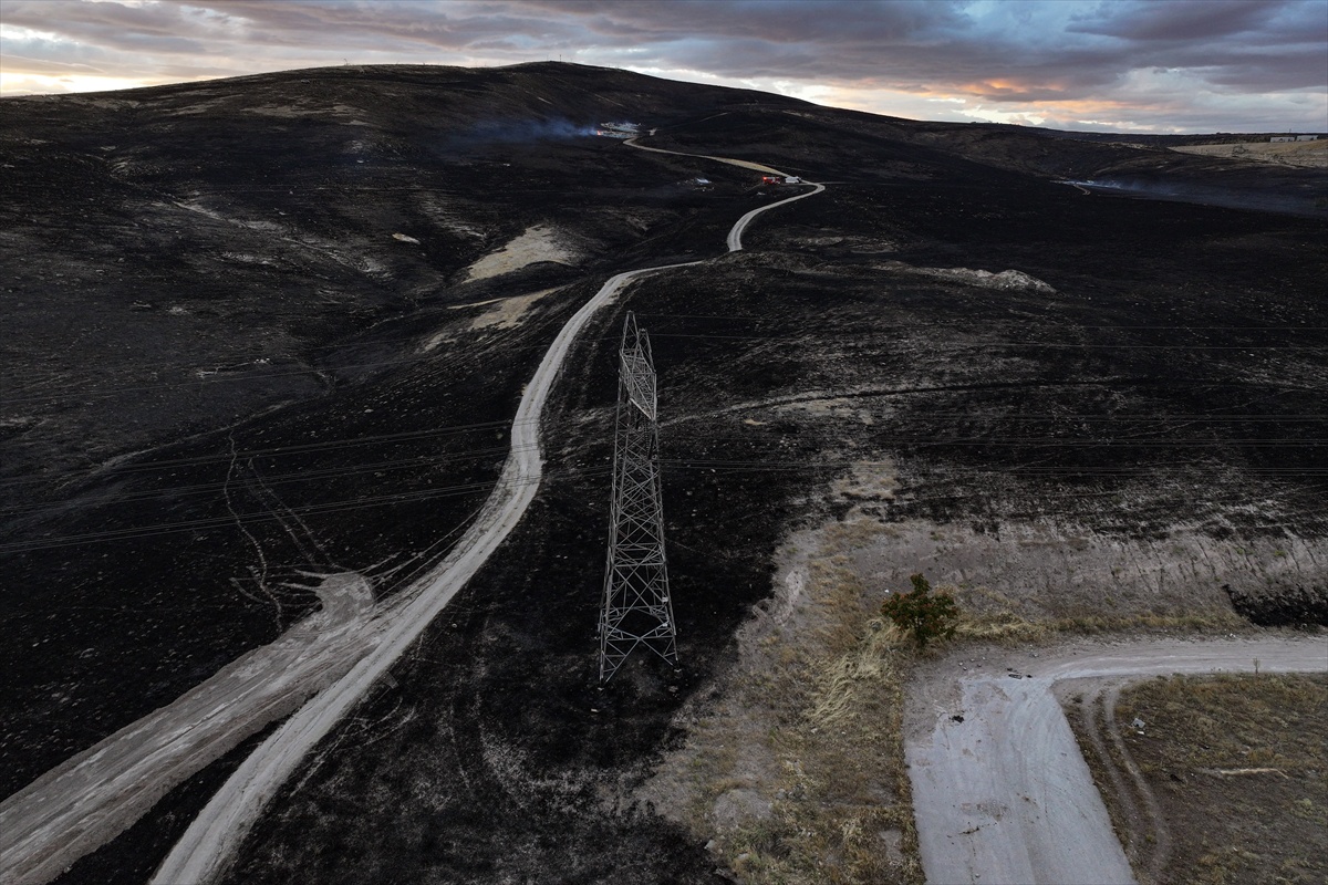 Ankara'da Otluk Alanda Yangın Söndürüldü