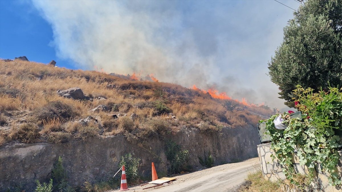 Bodrum\'da Otluk Alanda Yangın Söndürüldü