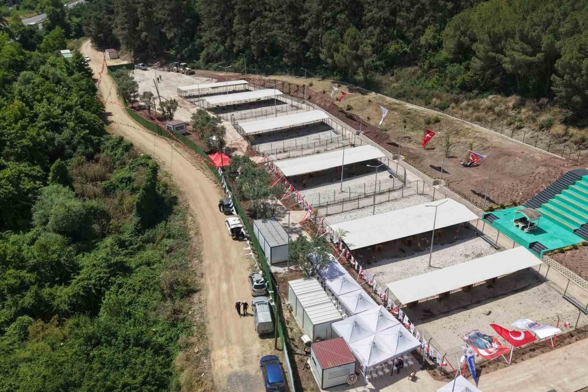 Bursa Hayvan Hakları Platformu’ndan Gemlik Belediyesi’ne tepki: 'Kapıları açın'