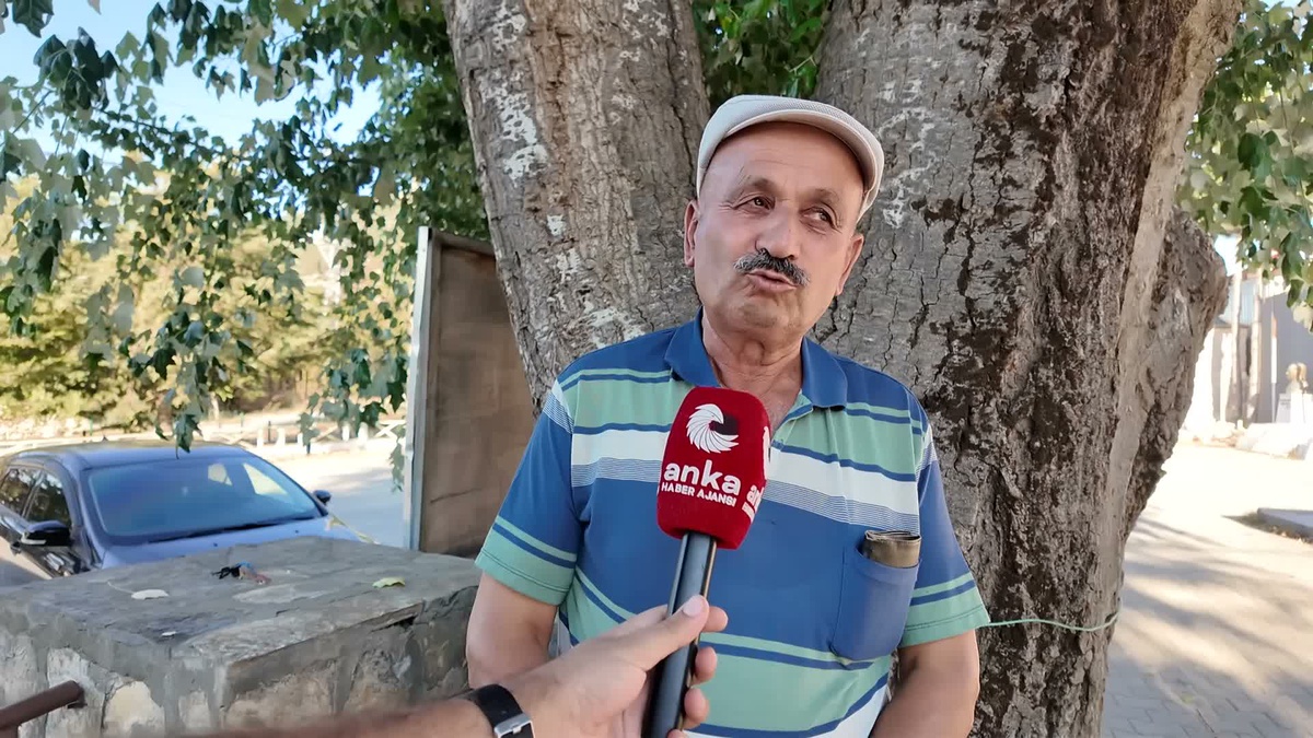 Isparta'da Hububat Hasadı: Verim Yüksek, Fiyatlar Düşük