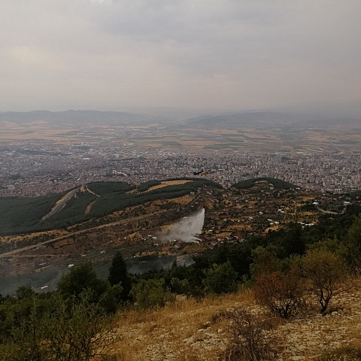 Kahramanmaraş'taki Orman Yangınları Kontrol Altına…
