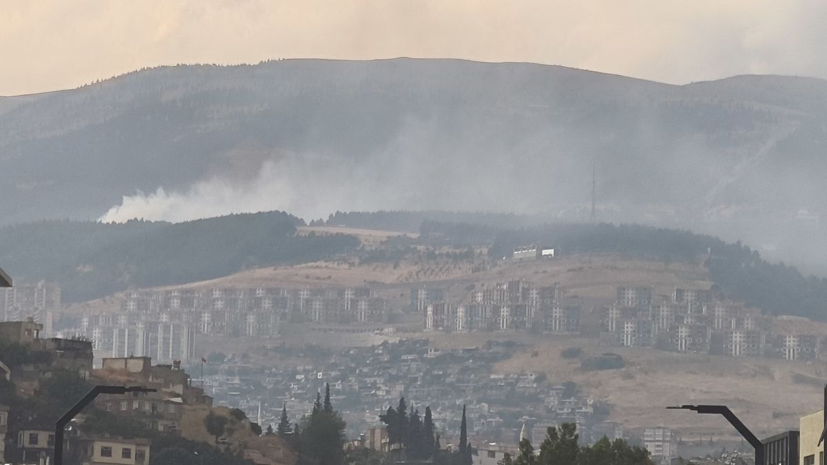 Kahramanmaraş'ta Orman Yangını