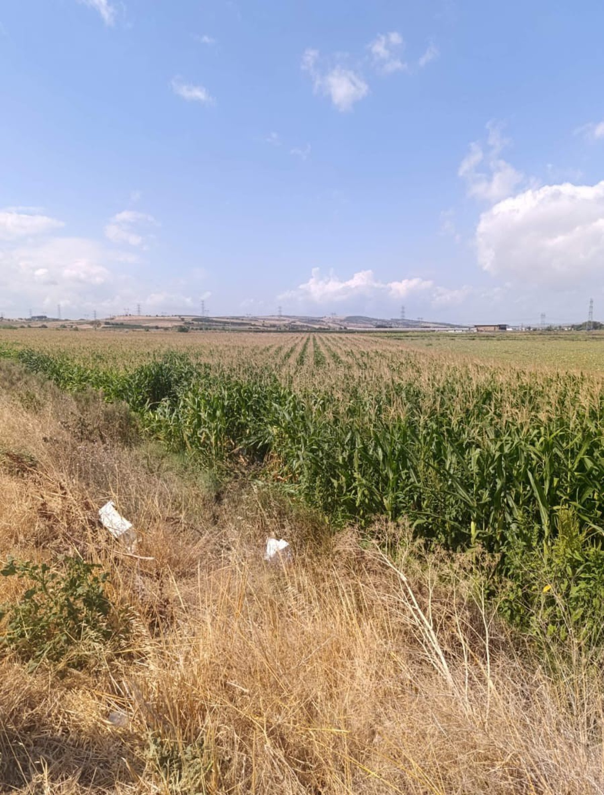 Karacabey'de Kaza: 3 Yaralı