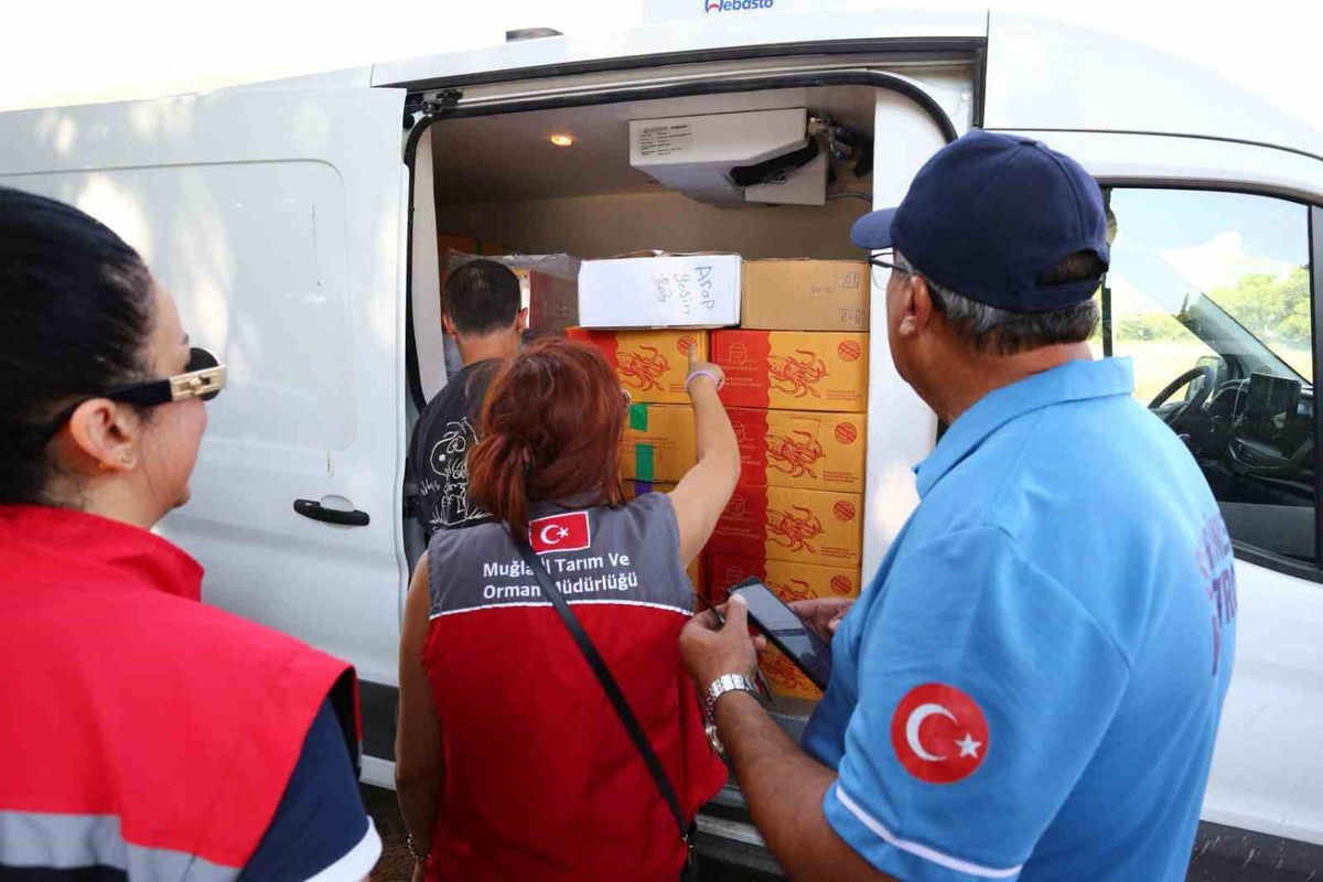 Muğla'da Gıda Denetimleri Sıkılaştırıldı