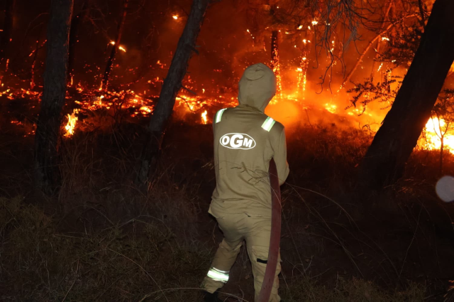 Muğla'nın Fethiye ilçesinde orman yangını