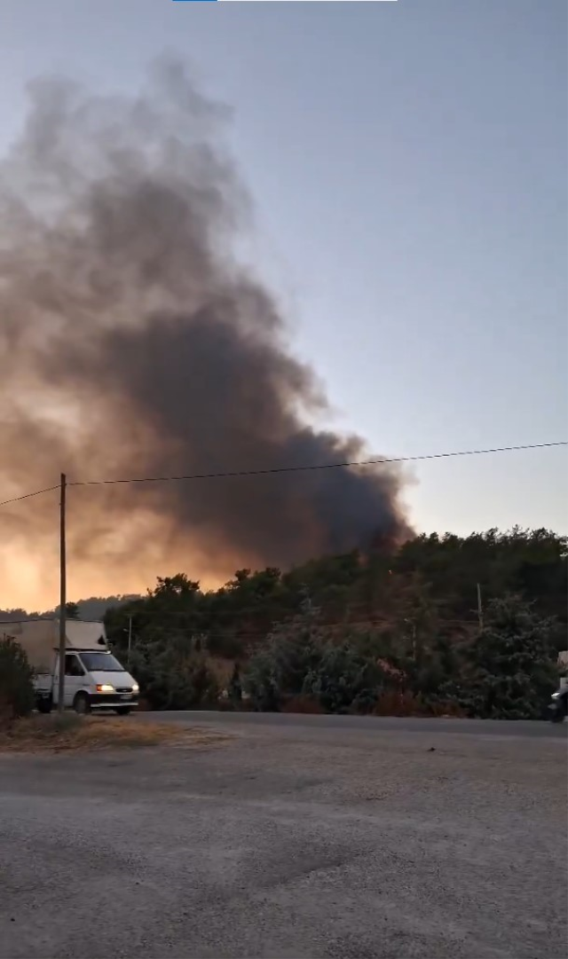 Muğla'nın Fethiye ilçesinde orman yangını
