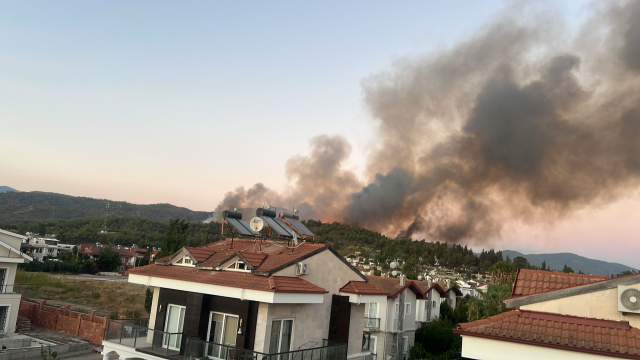 Muğla'nın Fethiye ilçesinde orman yangını