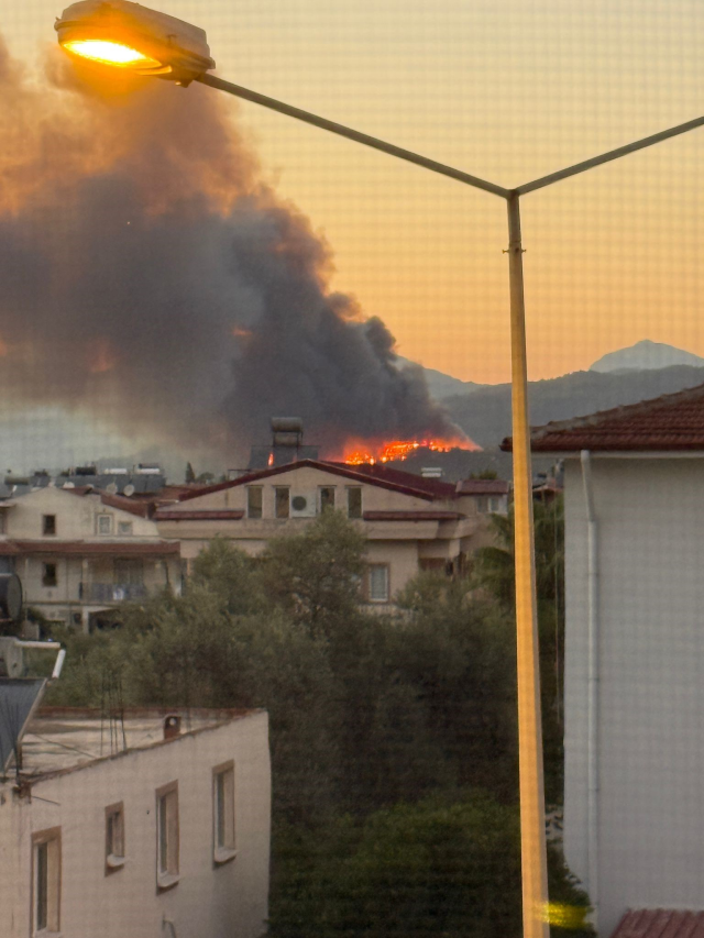 Muğla'nın Fethiye ilçesinde orman yangını