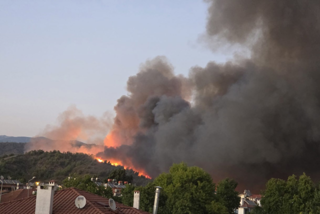 Muğla'nın Fethiye ilçesinde orman yangını