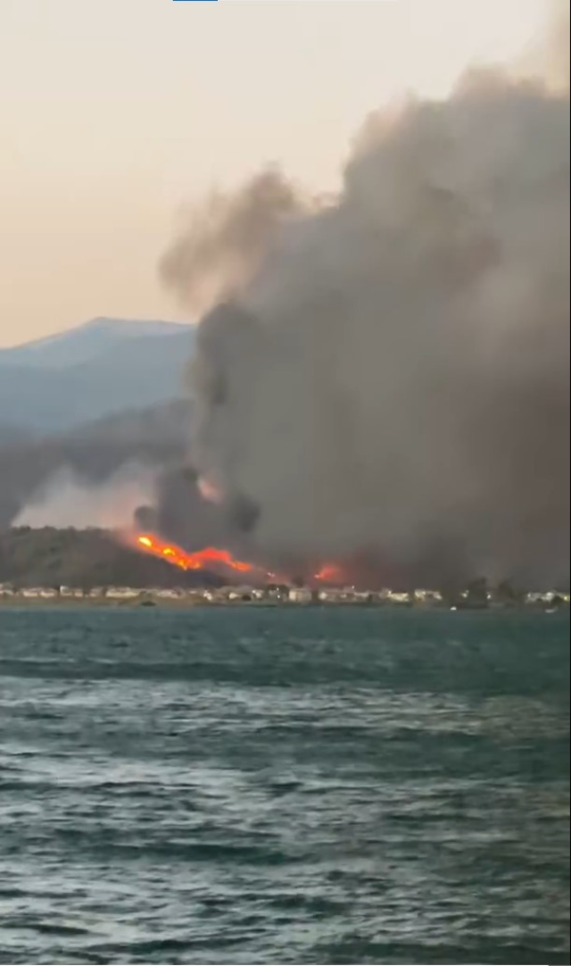 Muğla'nın Fethiye ilçesinde orman yangını