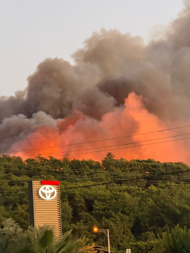Muğla'nın Fethiye ilçesinde orman yangını