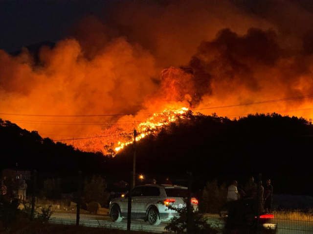 Muğla'nın Fethiye ilçesinde orman yangını