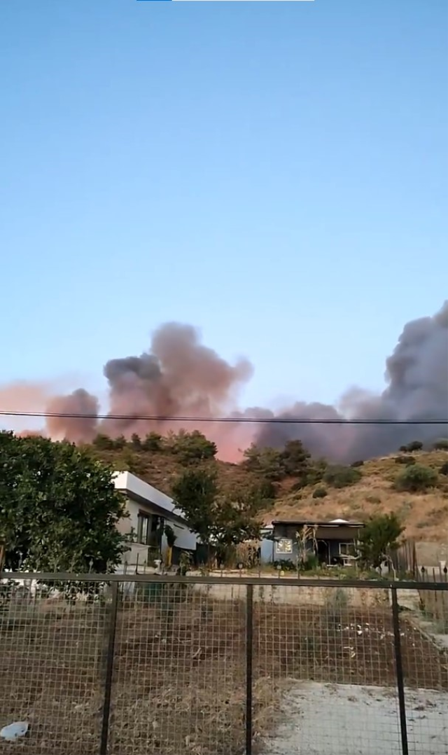 Muğla'nın Fethiye ilçesinde orman yangını