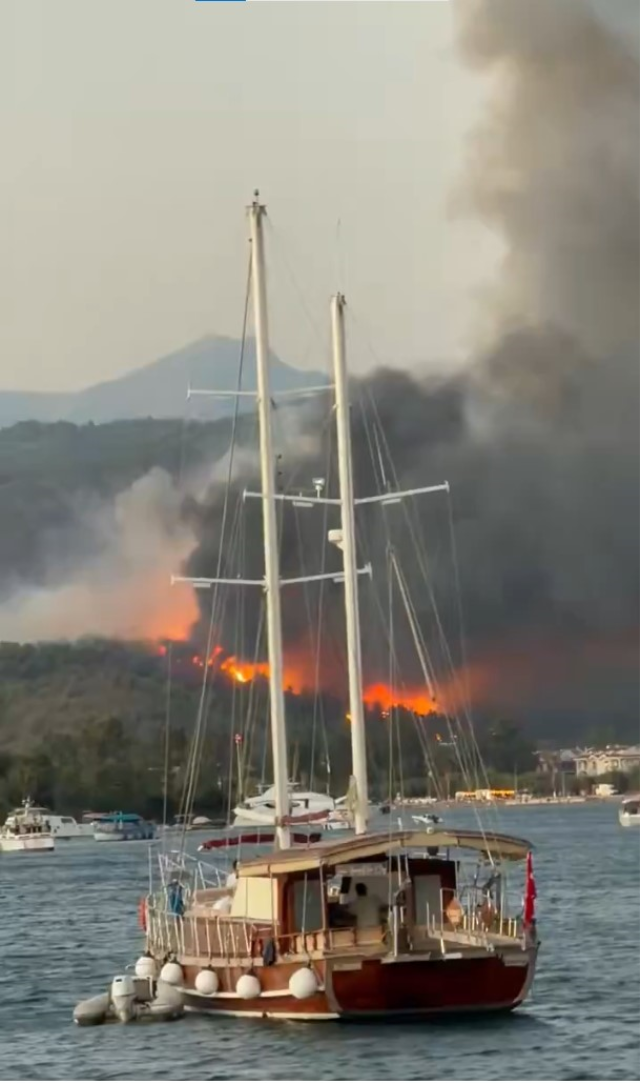 Muğla'nın Fethiye ilçesinde orman yangını
