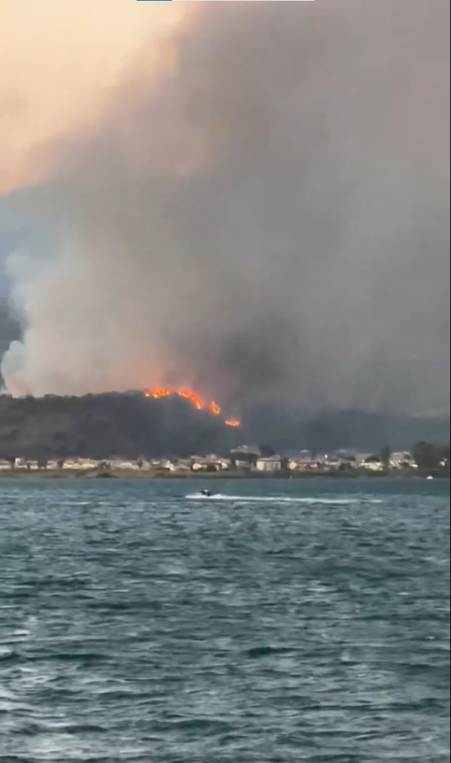Muğla'nın Fethiye ilçesinde orman yangını
