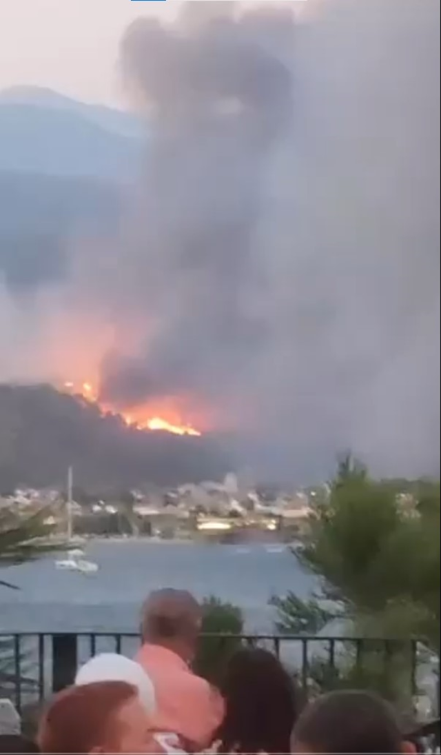 Muğla'nın Fethiye ilçesinde orman yangını