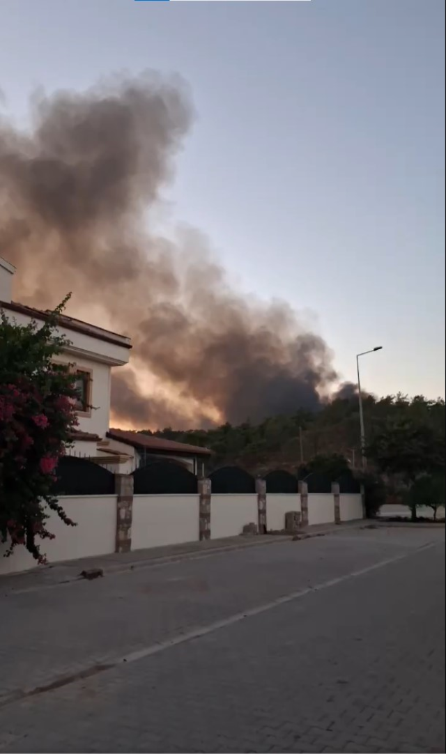 Muğla'nın Fethiye ilçesinde orman yangını