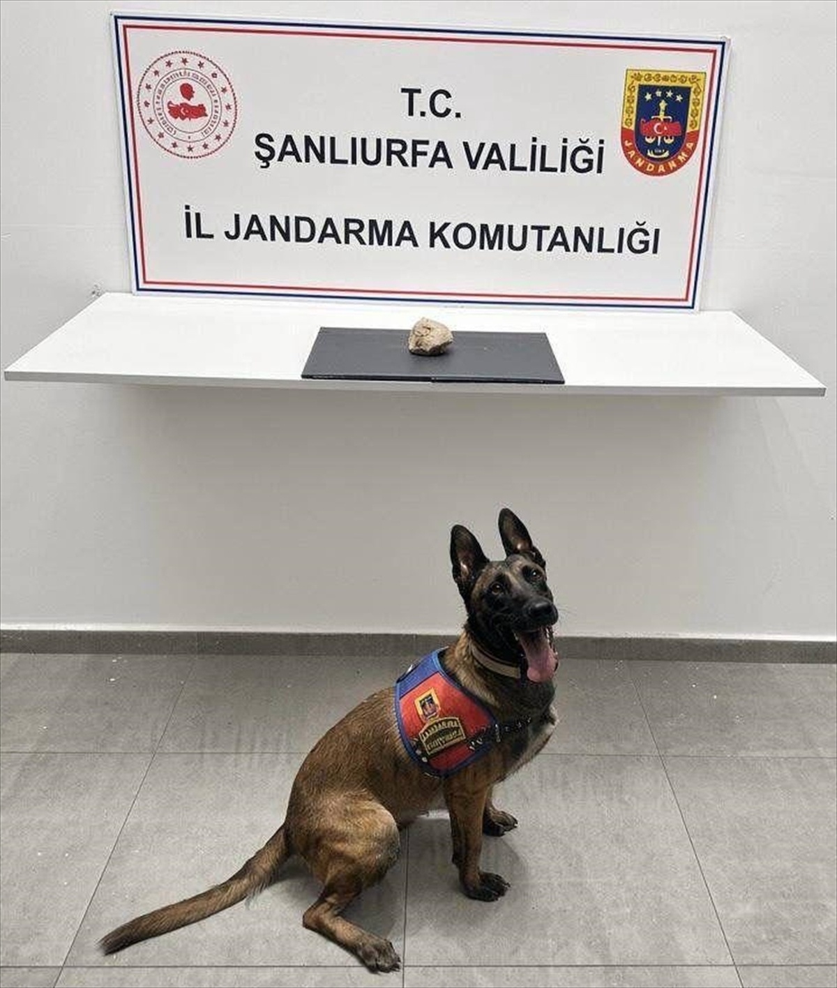 Uyuşturucu Operasyonunda Tutuklama