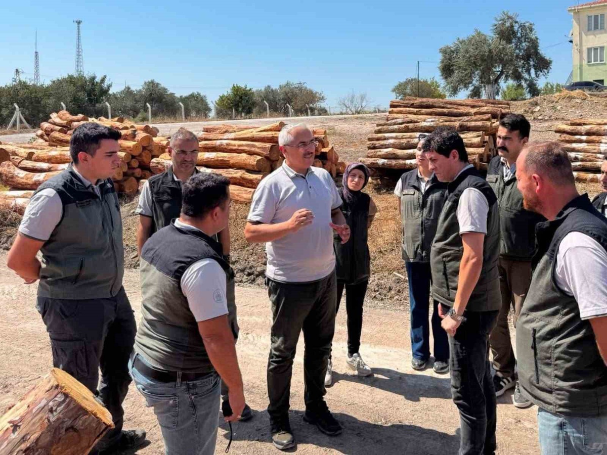 Orman Yangınlarına Karşı Tedbirler Artıyor