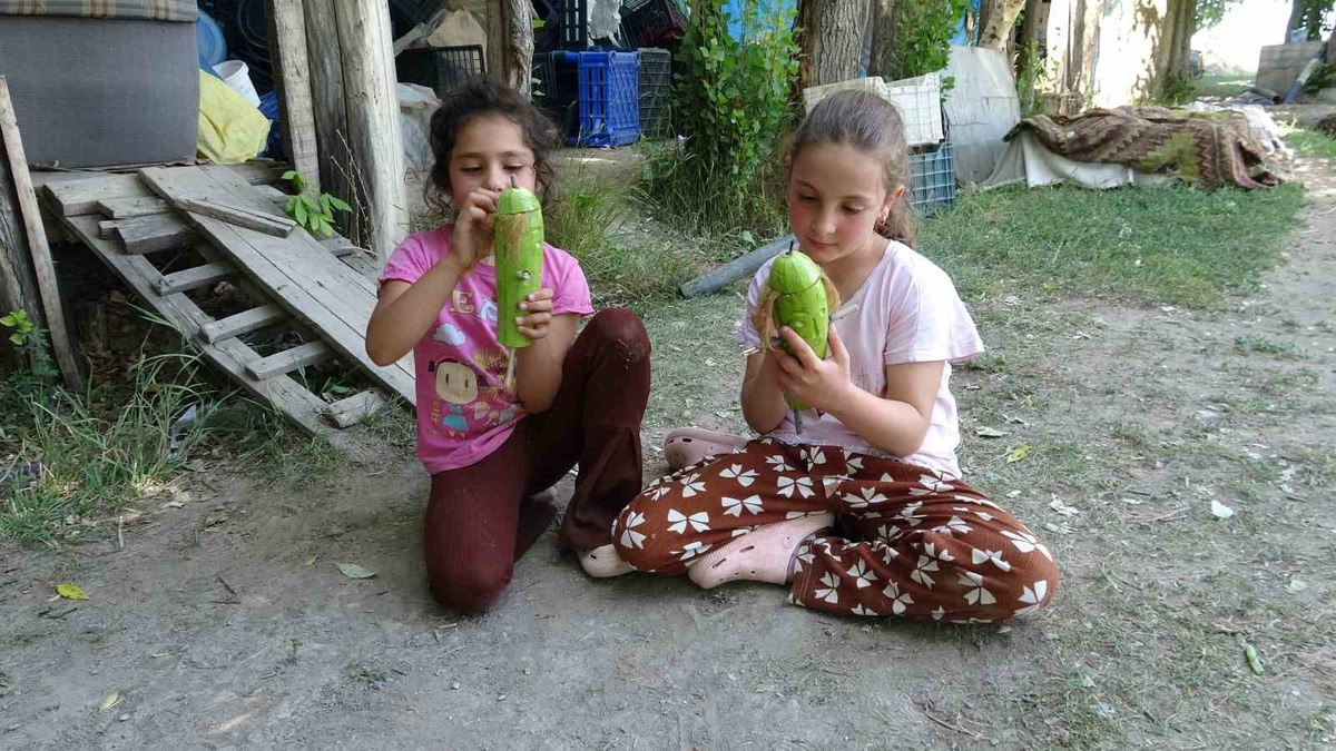 Kabaklardan Organik Oyuncaklar