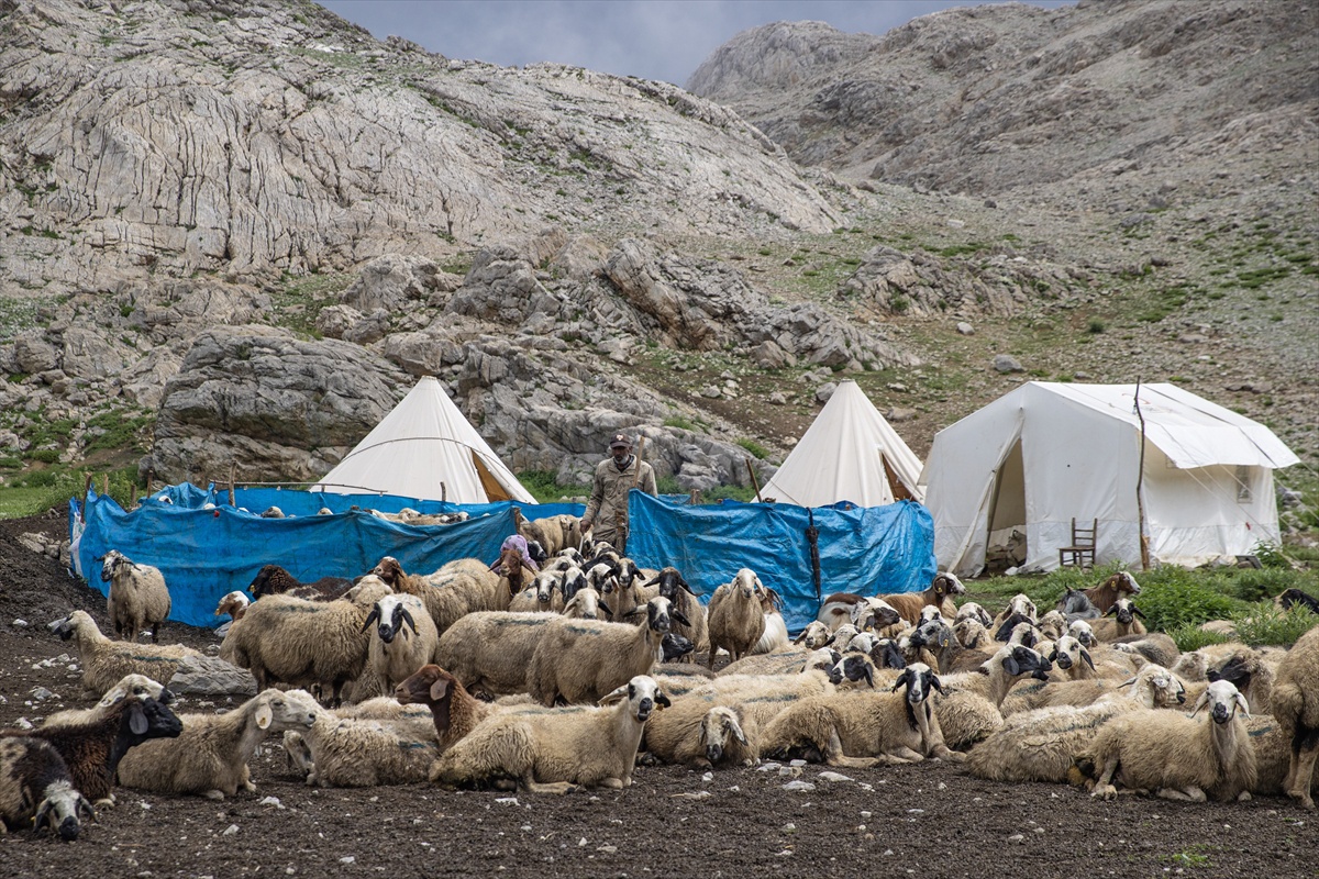 Ovacık'ta Yayla Hayatı