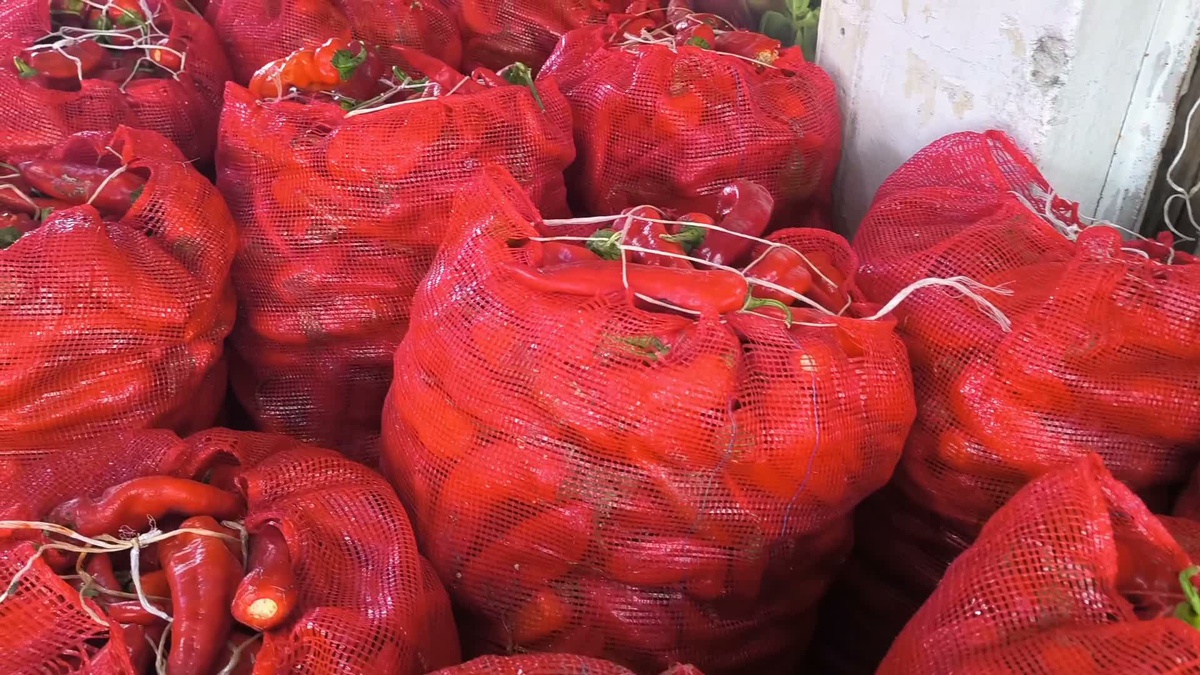 Biber Fiyatları İkiye Katlandı