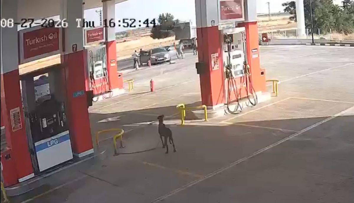 Gaziantep'te Alacak Kavgası: 2 Ölü, 5 Yaralı