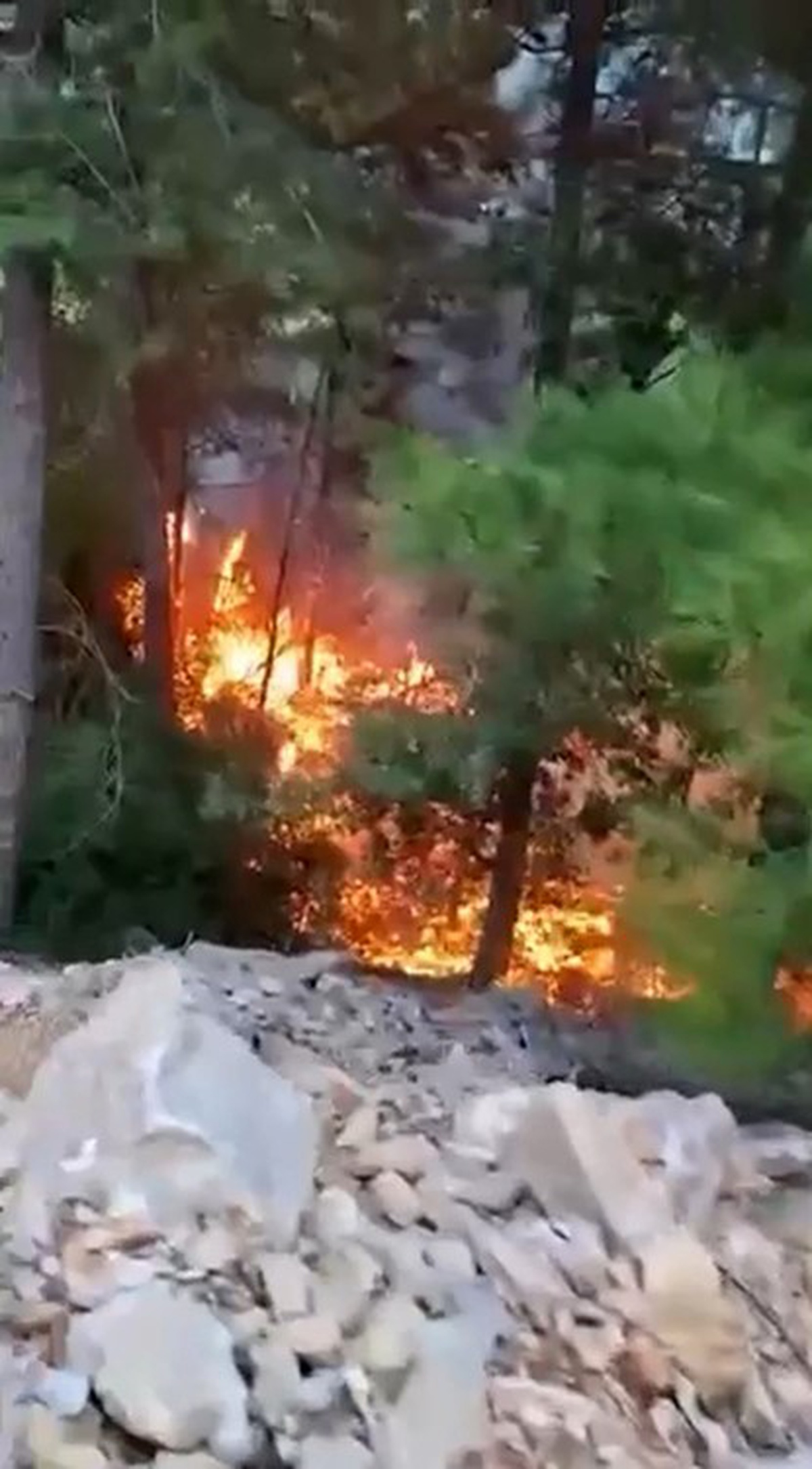 Alanya’da yıldırımın düşmesiyle yangın çıktı: 1 dönüm alan zarar gördü