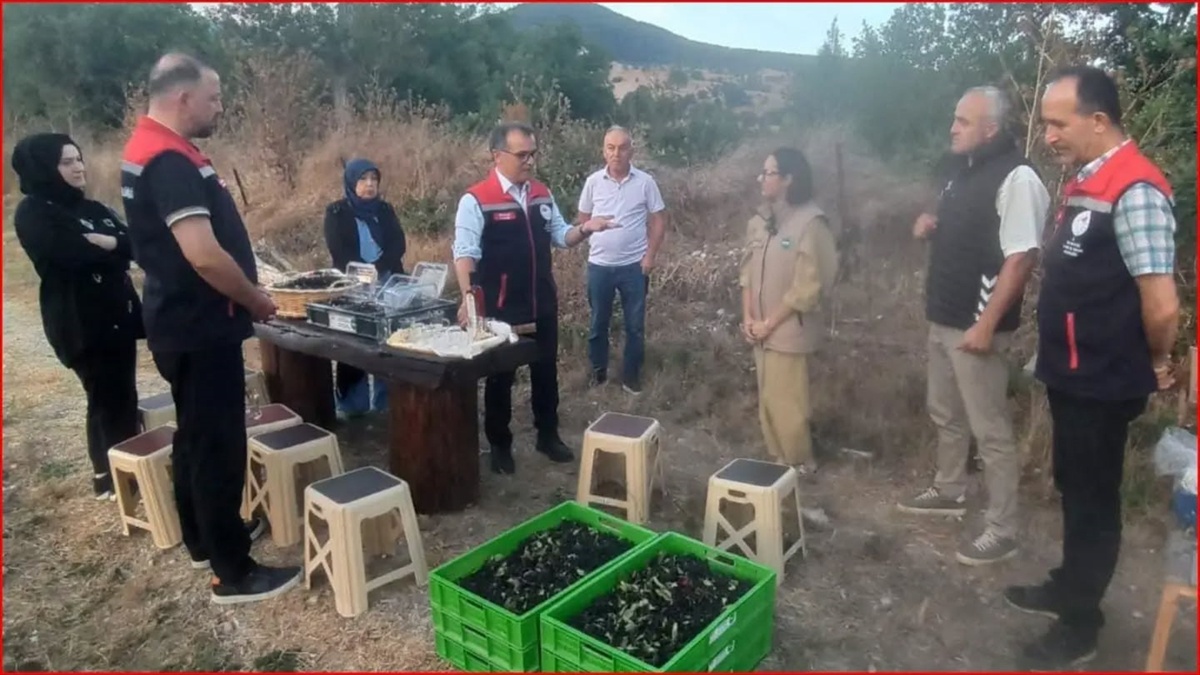 Bolu'da KYK Yurtları İncelendi