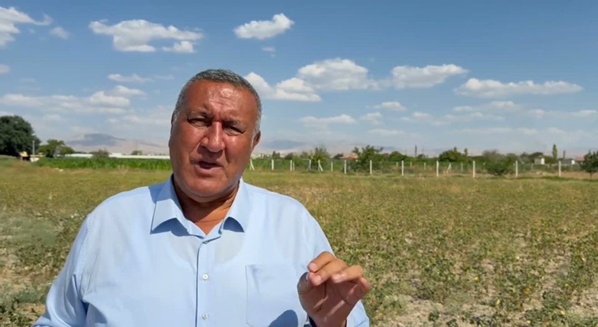 Nohut Sorunları ve İthalat Alarmı