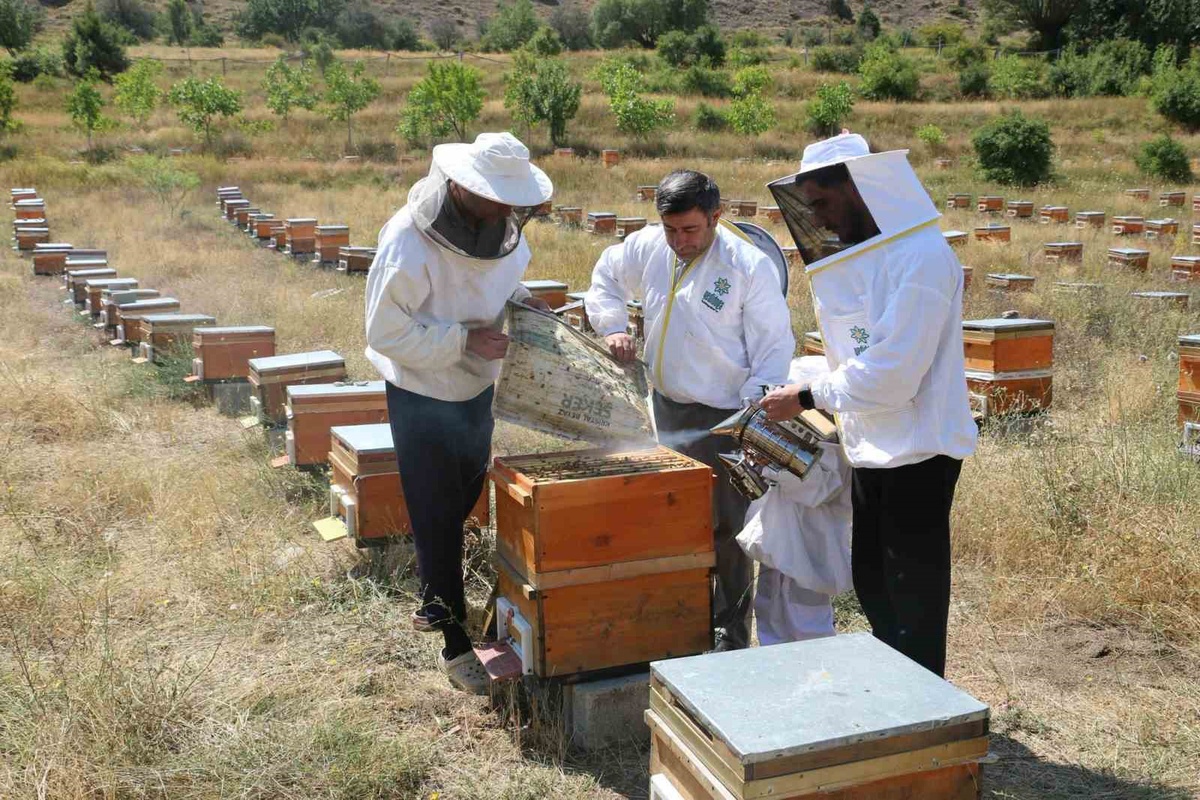 Erzincan'da Arıcılık Geleneği Yaşatılıyor