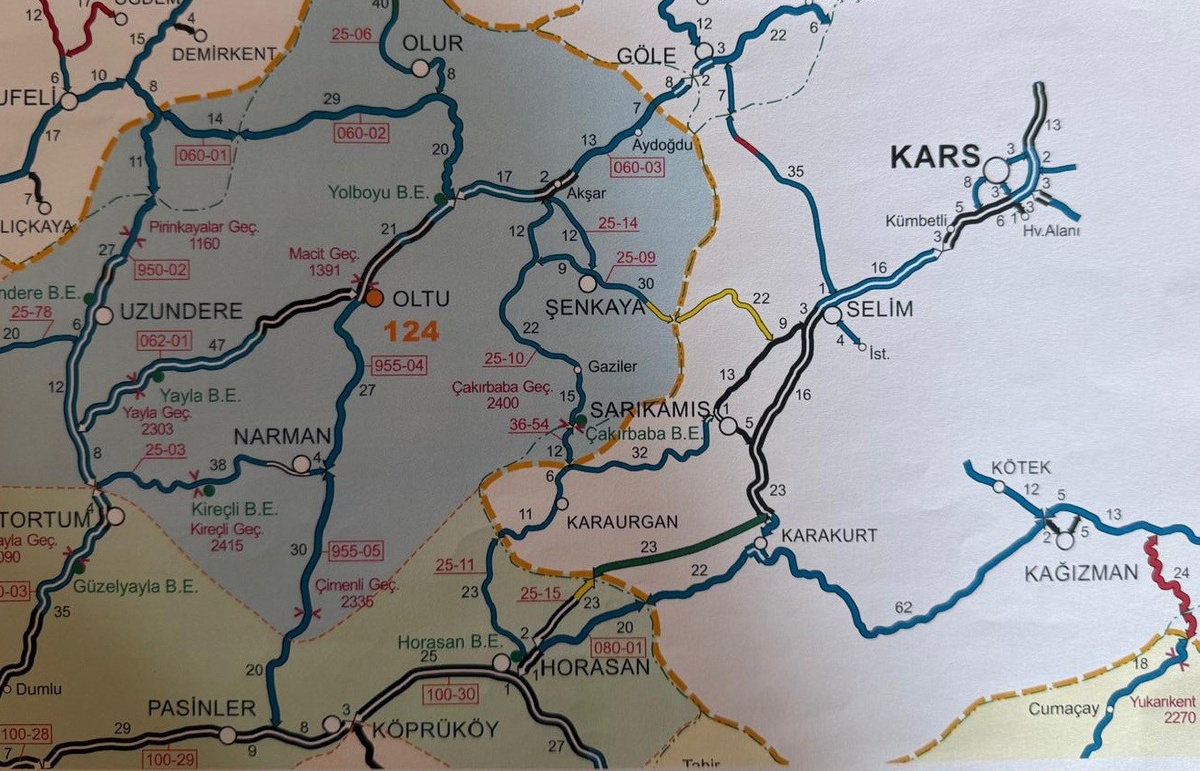 Sarıkamış Yolu ve Anma Yürüyüşü İçin Acil Çağrı