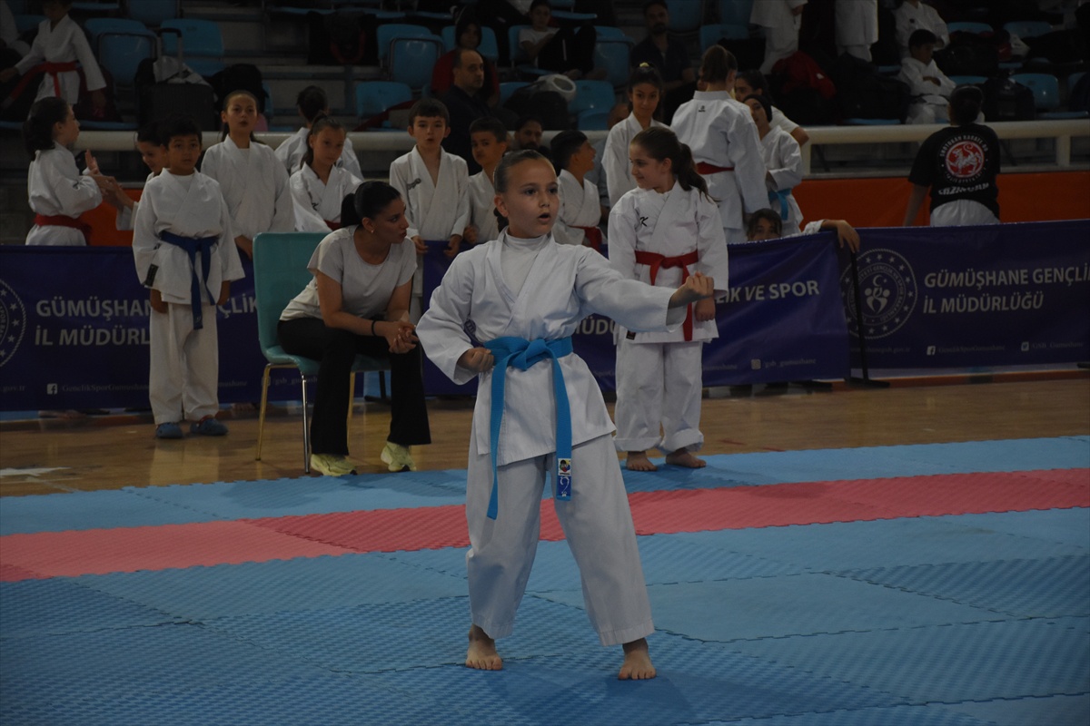 Gümüşhane\'de Karate Turnuvası