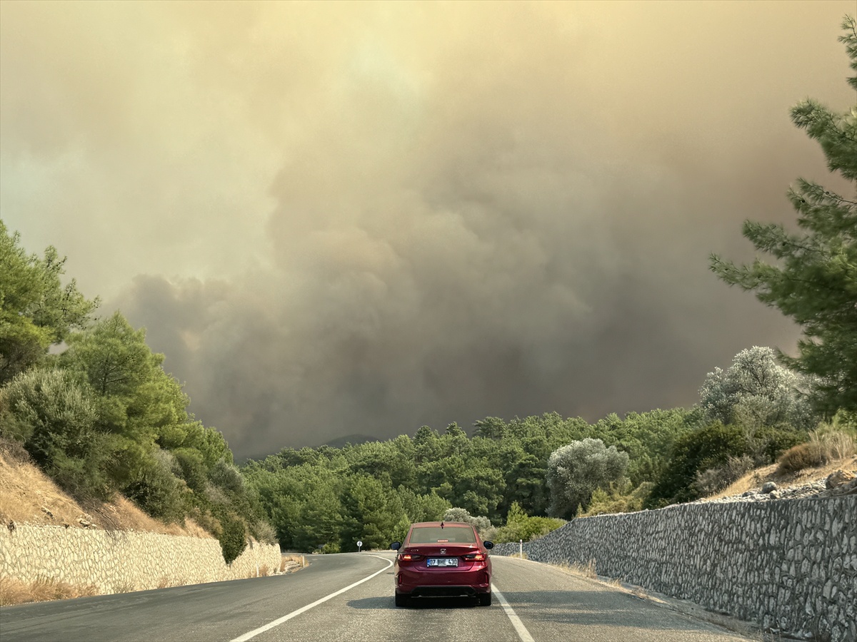 Muğla\'da Orman Yangını Kontrol Altına Alınıyor