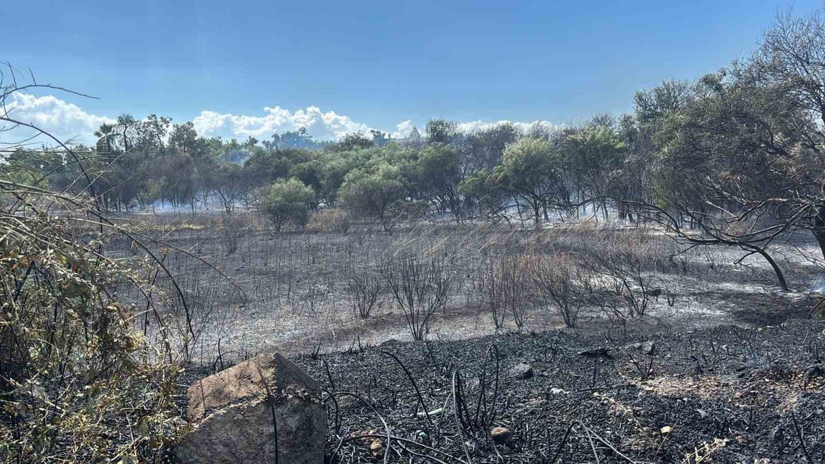 Manavgat Sorgun Mahallesi Boğaz Mendirek yolunda korkutan yangın