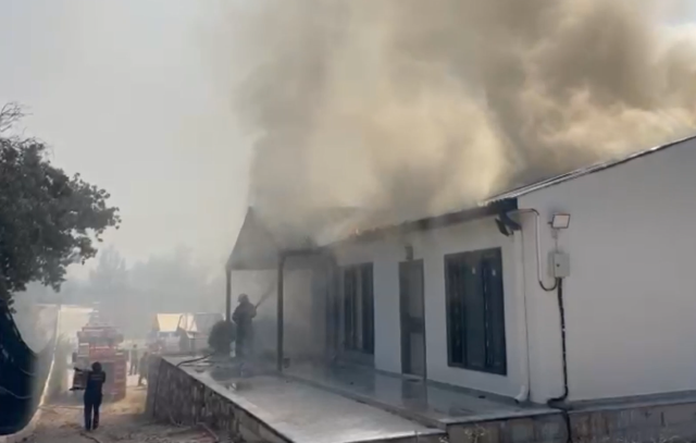 Muğla'da başlayan orman yangını Antalya'ya sıçradı! Bazı evler alevlere teslim