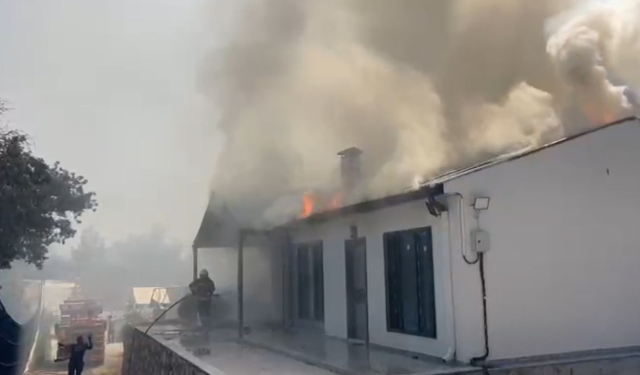 Muğla'da başlayan orman yangını Antalya'ya sıçradı! Bazı evler alevlere teslim