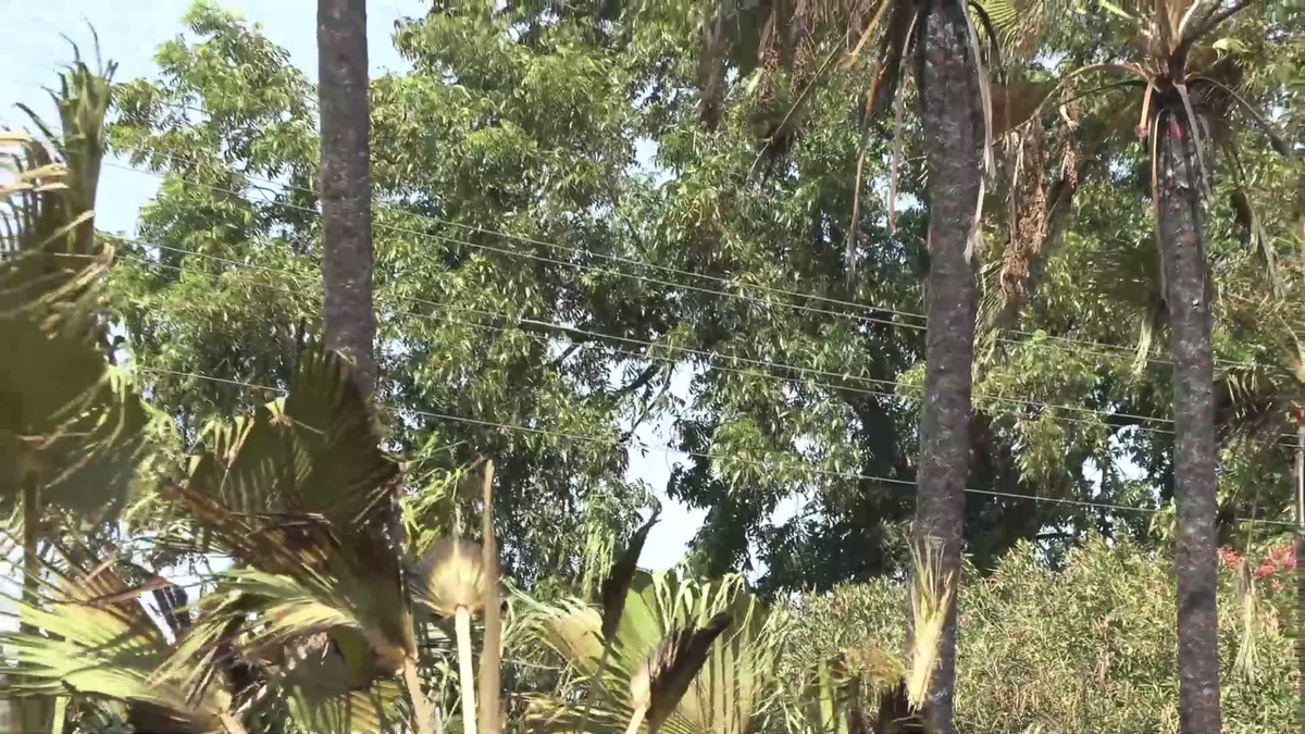 Muratpaşa Belediye Başkanı Uysal, Doğuyaka’daki yangın bölgesini inceledi