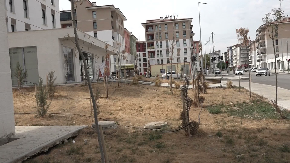 Zaviye Mahallesi'nde Fırıncı Mağduriyeti