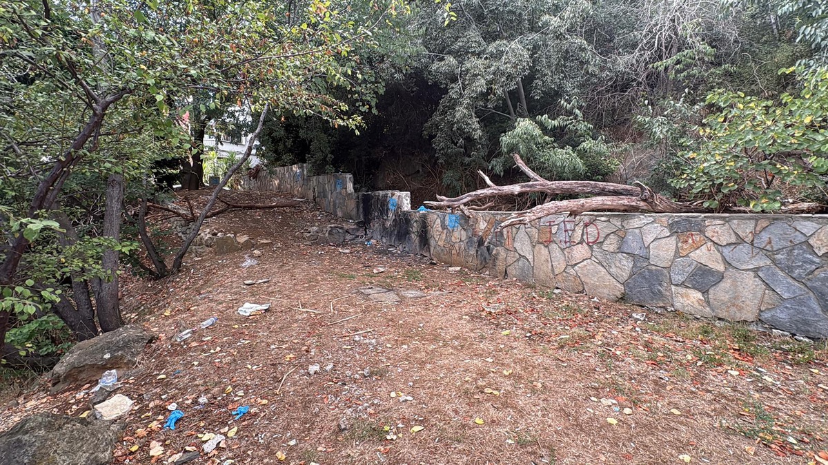 İstinye Parkı'nda gizemli ölüm