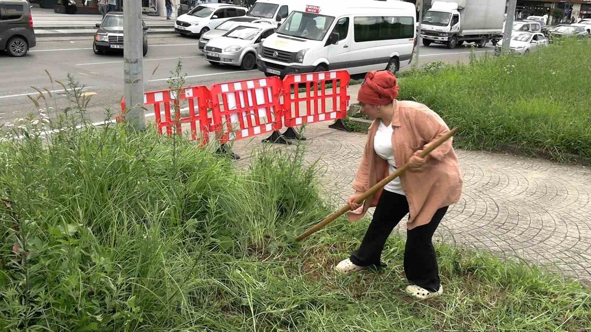 Şehir merkezinde tırpanla geçim mücadelesi