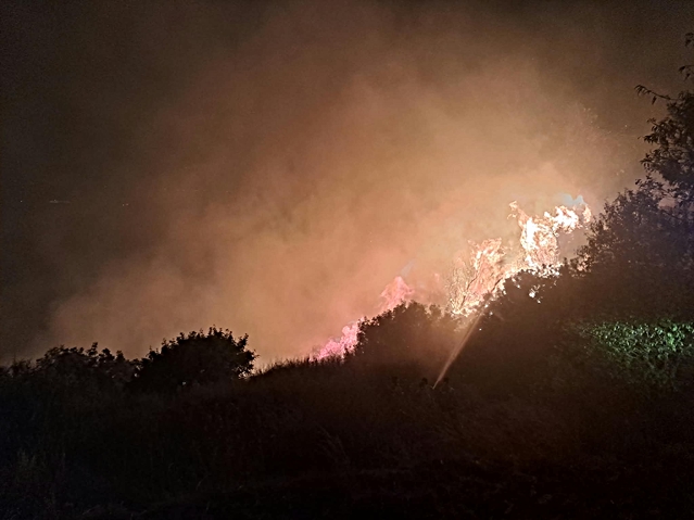 Antalya'da Otluk Alanda Yangın