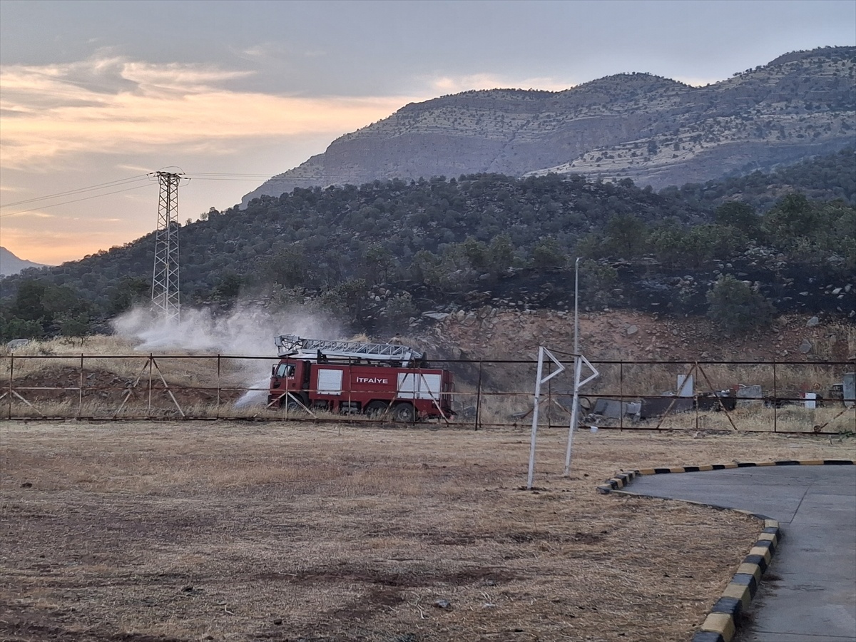 Silopi'de Orman Yangını Kontrol Altına Alındı