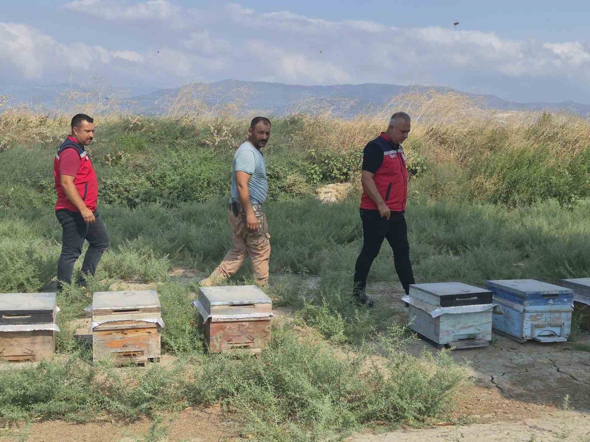 Hatay'da Arıcılık Ziyareti
