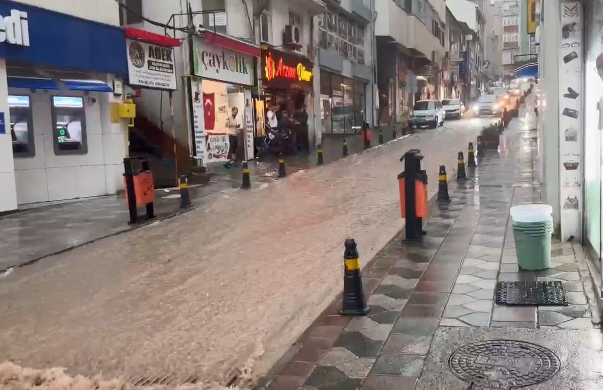 Artvin'de Şiddetli Yağış: Su Baskınları ve Heyelanlar