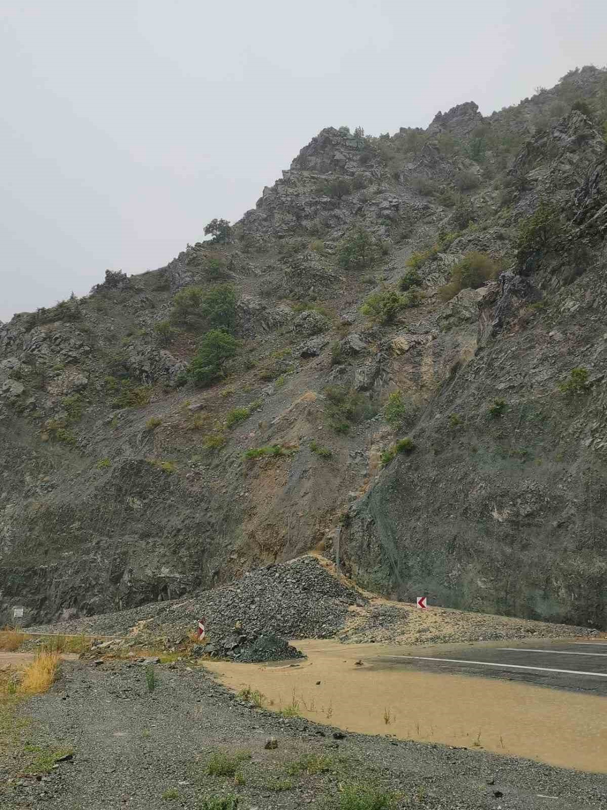 Artvin'de Sağanak Yağış Felç Etkisi Yarattı