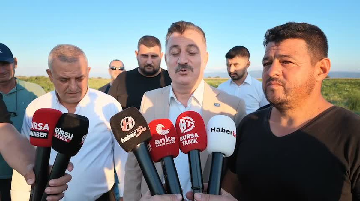 Karpuz Üreticileri Zarar Ediyor